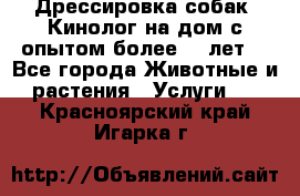 Дрессировка собак (Кинолог на дом с опытом более 10 лет) - Все города Животные и растения » Услуги   . Красноярский край,Игарка г.